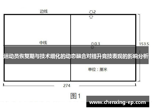 运动员恢复期与技术细化的动态融合对提升竞技表现的影响分析
