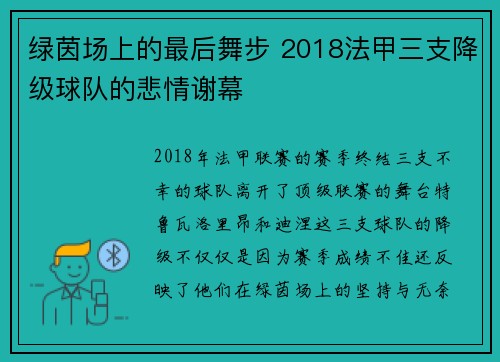 绿茵场上的最后舞步 2018法甲三支降级球队的悲情谢幕