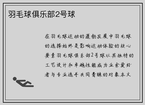 羽毛球俱乐部2号球