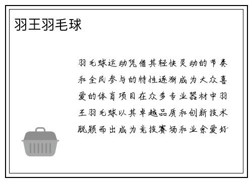 羽王羽毛球